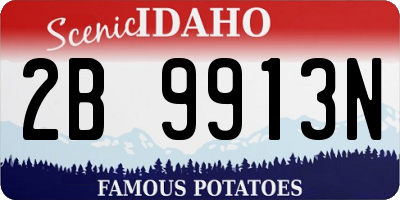 ID license plate 2B9913N