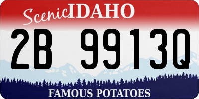 ID license plate 2B9913Q