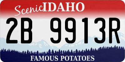 ID license plate 2B9913R
