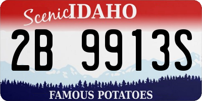 ID license plate 2B9913S