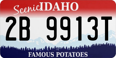 ID license plate 2B9913T