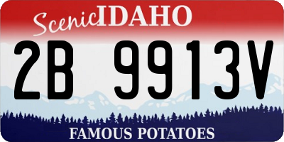 ID license plate 2B9913V