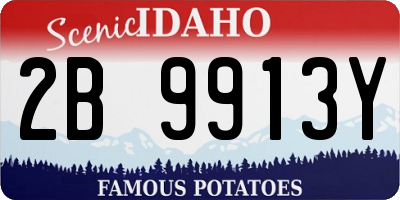 ID license plate 2B9913Y