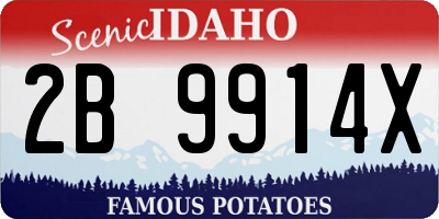 ID license plate 2B9914X