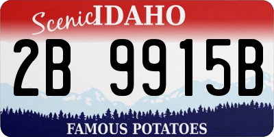 ID license plate 2B9915B
