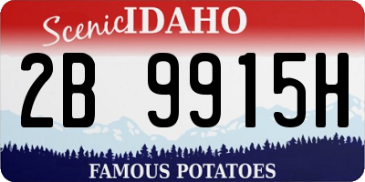 ID license plate 2B9915H