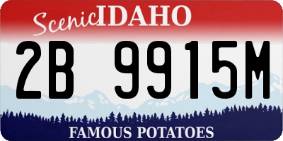 ID license plate 2B9915M