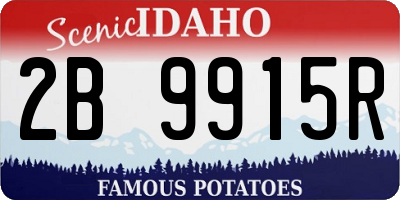 ID license plate 2B9915R