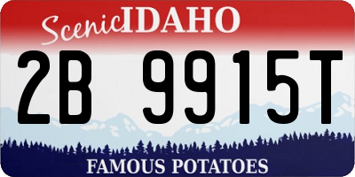 ID license plate 2B9915T