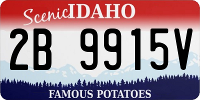 ID license plate 2B9915V