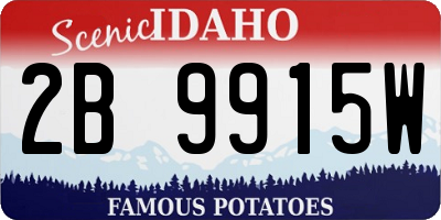 ID license plate 2B9915W