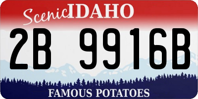ID license plate 2B9916B