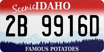 ID license plate 2B9916D