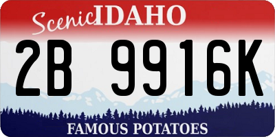 ID license plate 2B9916K