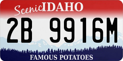 ID license plate 2B9916M