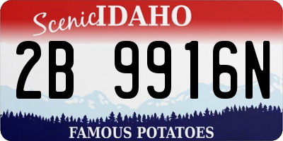 ID license plate 2B9916N