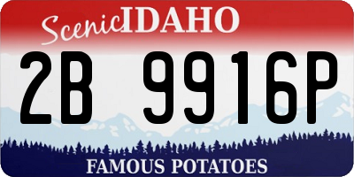 ID license plate 2B9916P