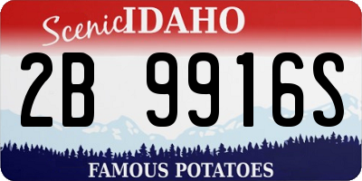 ID license plate 2B9916S