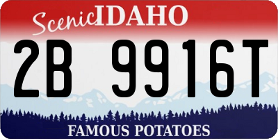 ID license plate 2B9916T
