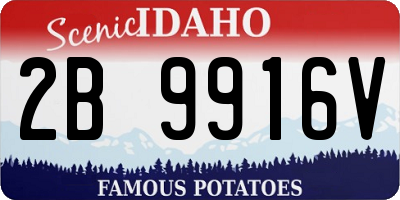 ID license plate 2B9916V
