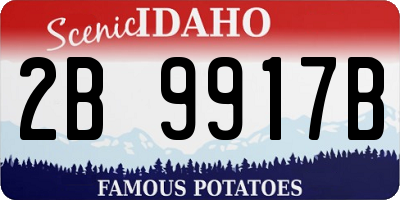 ID license plate 2B9917B