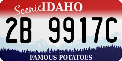ID license plate 2B9917C