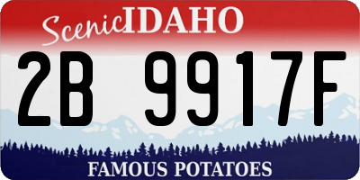ID license plate 2B9917F