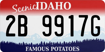 ID license plate 2B9917G