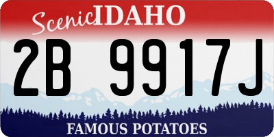 ID license plate 2B9917J