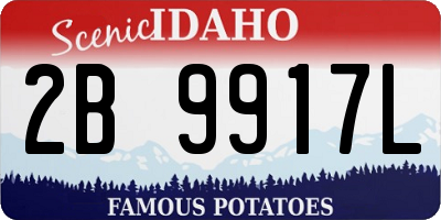 ID license plate 2B9917L
