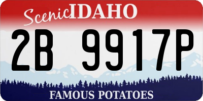 ID license plate 2B9917P
