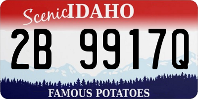 ID license plate 2B9917Q