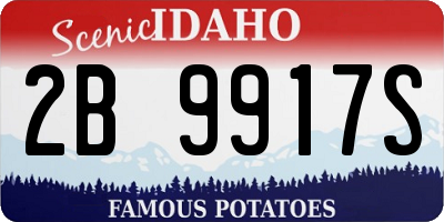 ID license plate 2B9917S