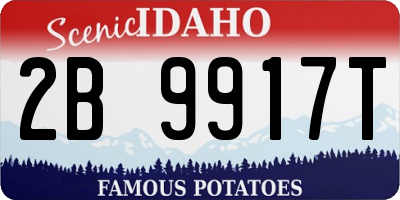 ID license plate 2B9917T