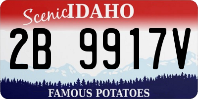 ID license plate 2B9917V