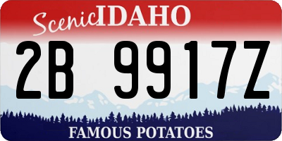 ID license plate 2B9917Z