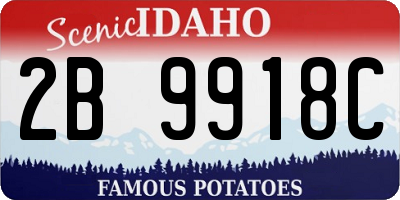 ID license plate 2B9918C