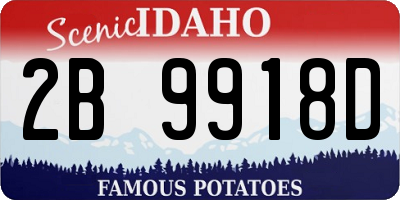 ID license plate 2B9918D