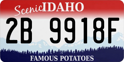 ID license plate 2B9918F