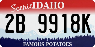 ID license plate 2B9918K