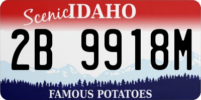 ID license plate 2B9918M