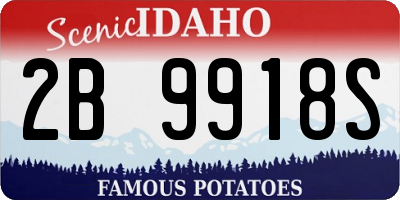 ID license plate 2B9918S
