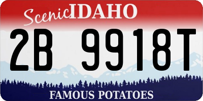 ID license plate 2B9918T