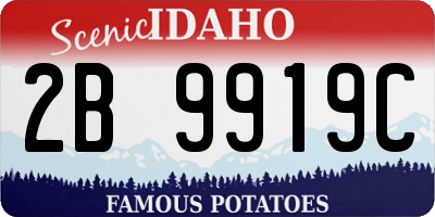 ID license plate 2B9919C