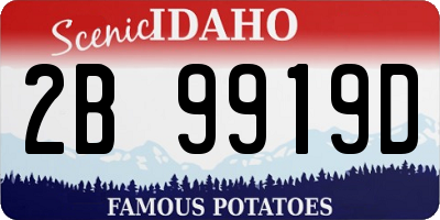 ID license plate 2B9919D