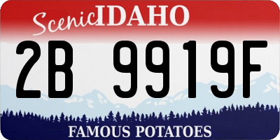 ID license plate 2B9919F