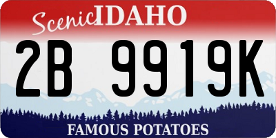 ID license plate 2B9919K