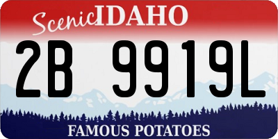 ID license plate 2B9919L