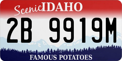 ID license plate 2B9919M