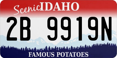 ID license plate 2B9919N